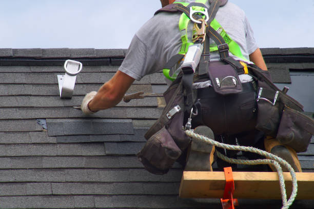 Best Rubber Roofing (EPDM, TPO)  in Ford Heights, IL